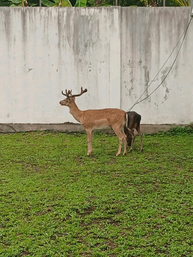 Imagen subida por Armheria