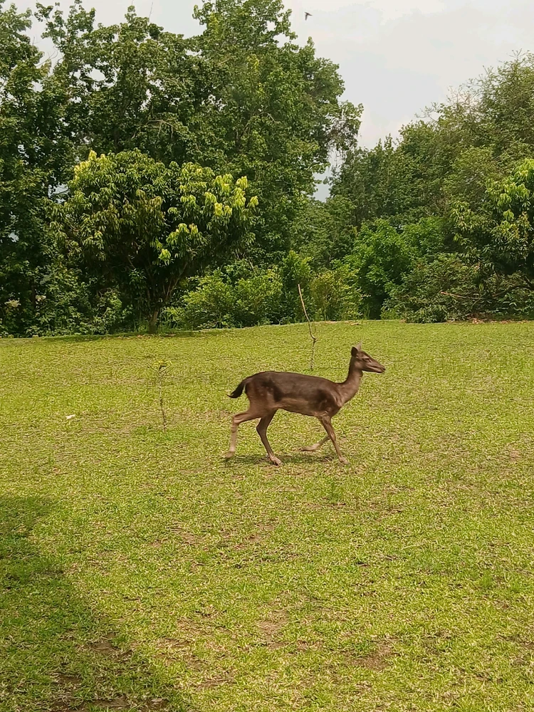 Imagen subida por Armheria