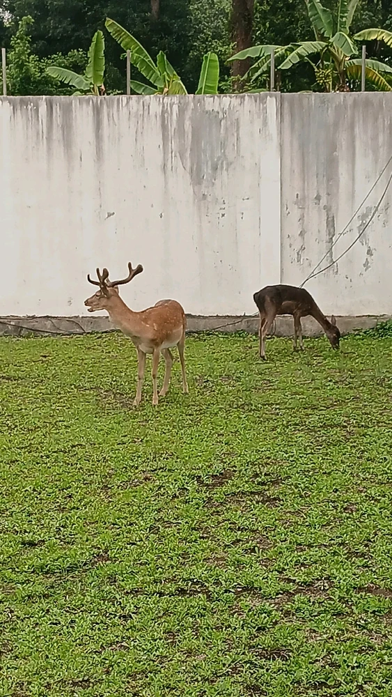 Imagen subida por Armheria