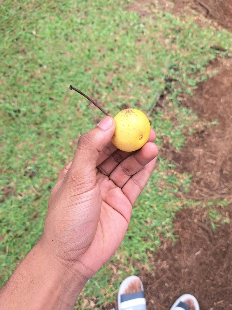 Image uploaded by Samuel