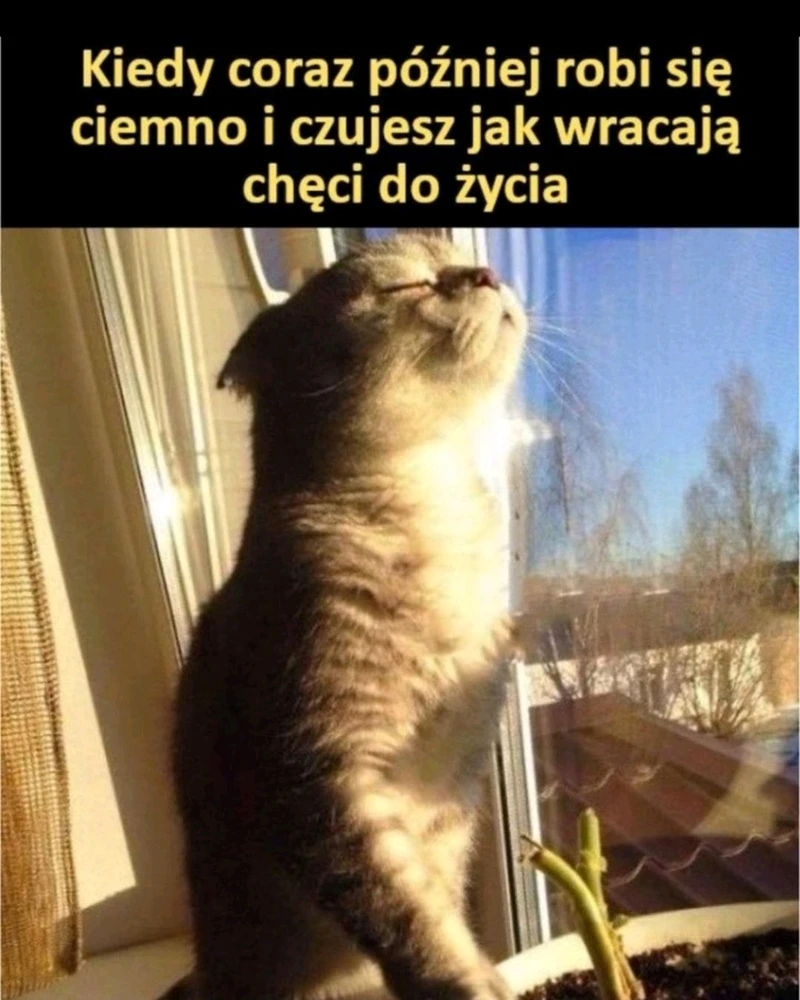 GIF dodany przez Michał