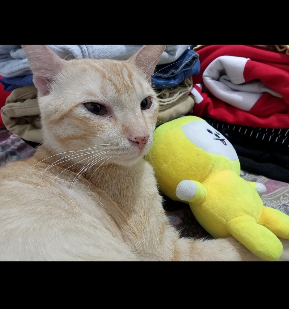 GIF uploaded by Rianne