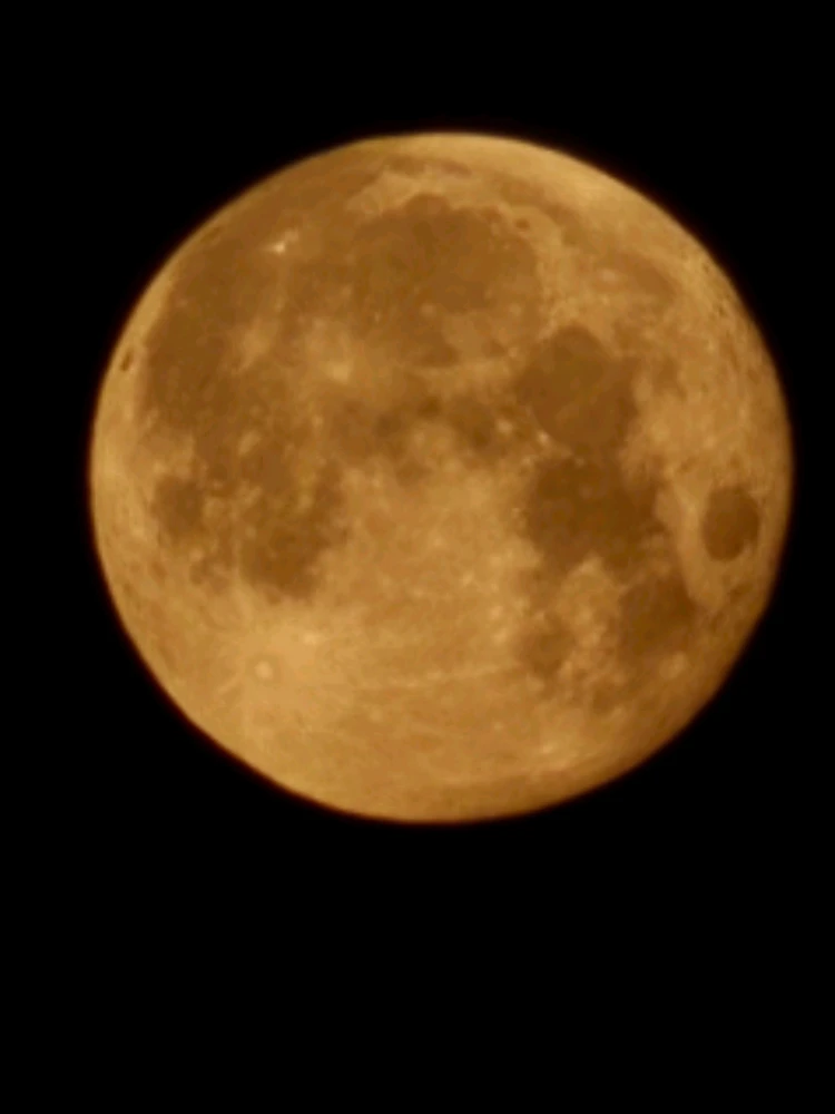 FERO tarafından yüklenen GIF