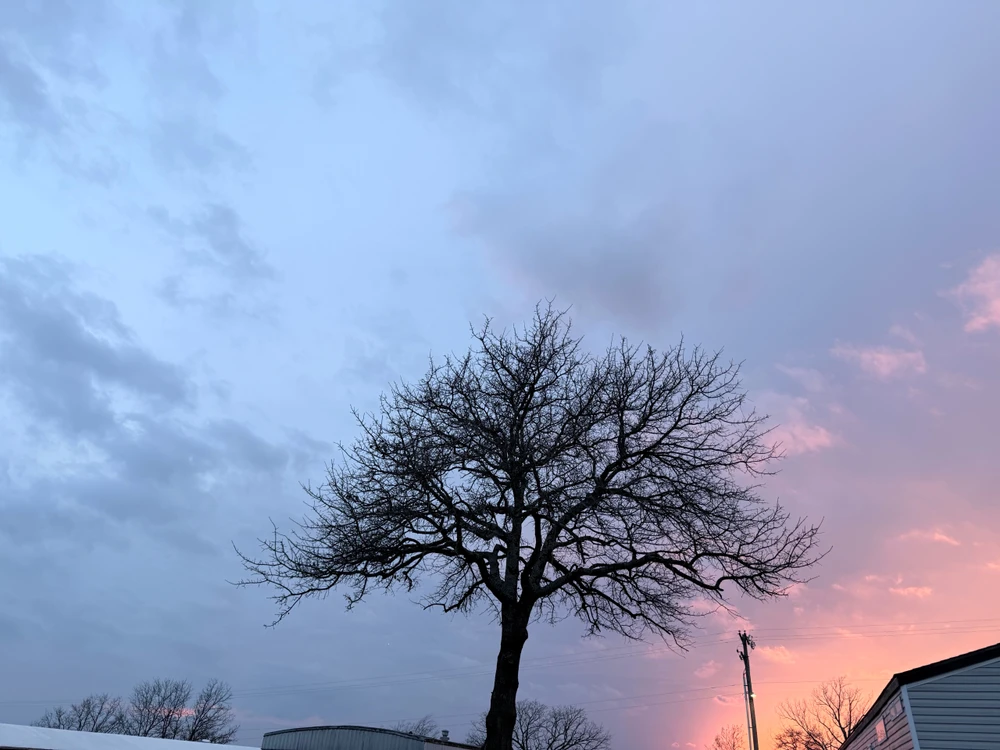 GIF uploaded by Elijah