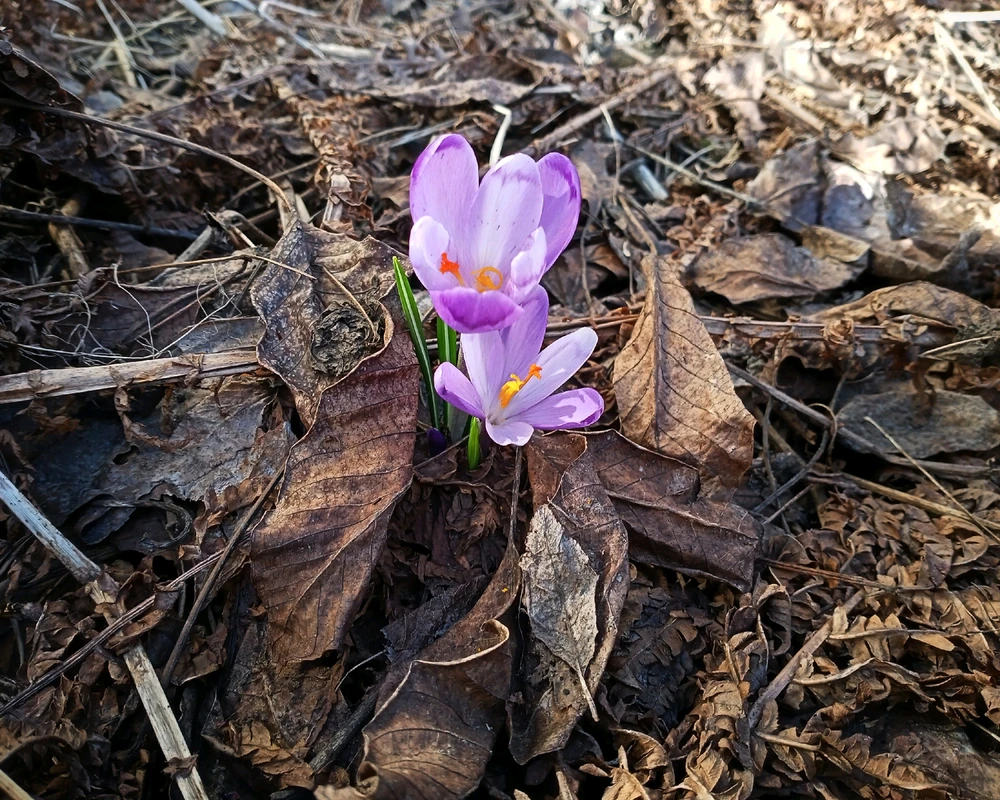 Зображення завантажив Black Mirror (⁠◔⁠‿⁠◔⁠)