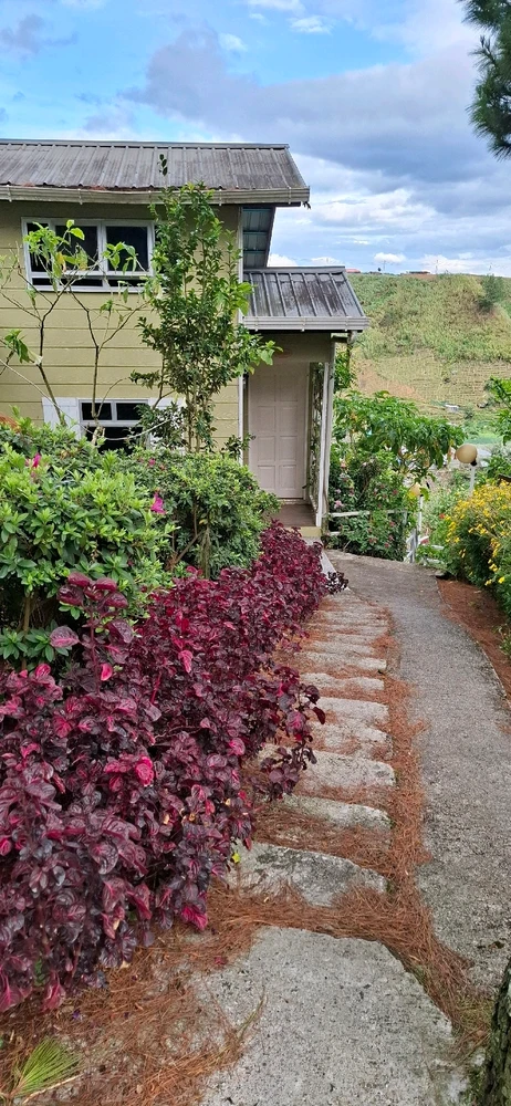 Image uploaded by Jane