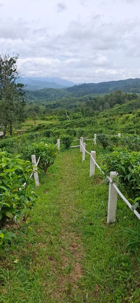 Image uploaded by Jane