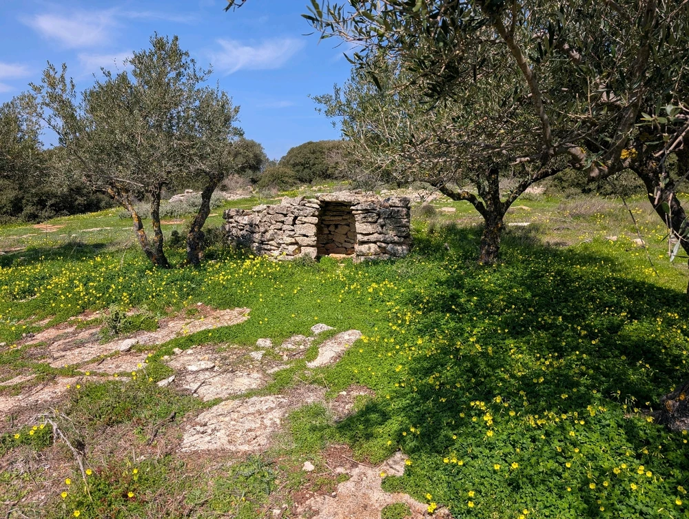 Image uploaded by Noel Brown