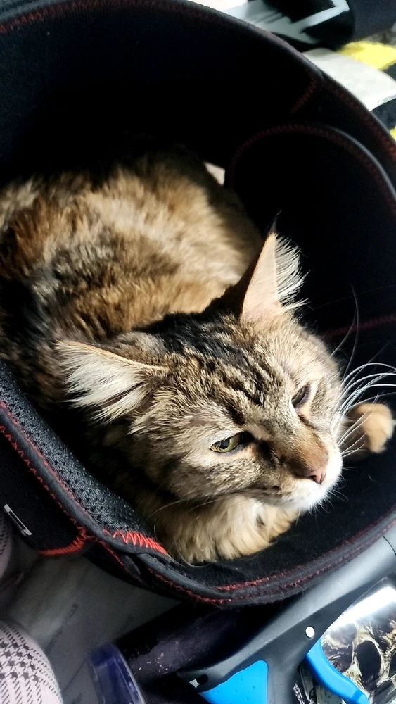 GIF uploaded by River