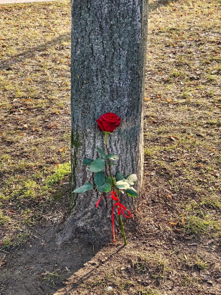 GIF dodany przez Adrian