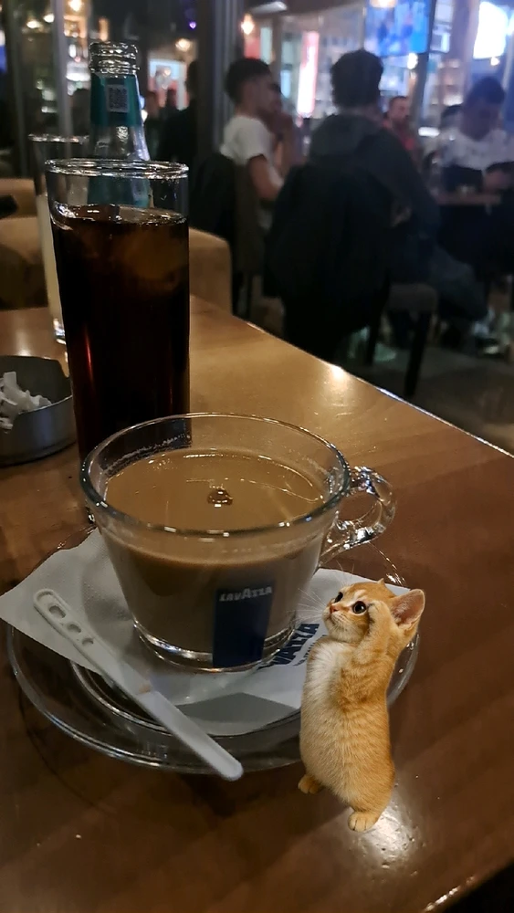 GIF uploaded by Eddy