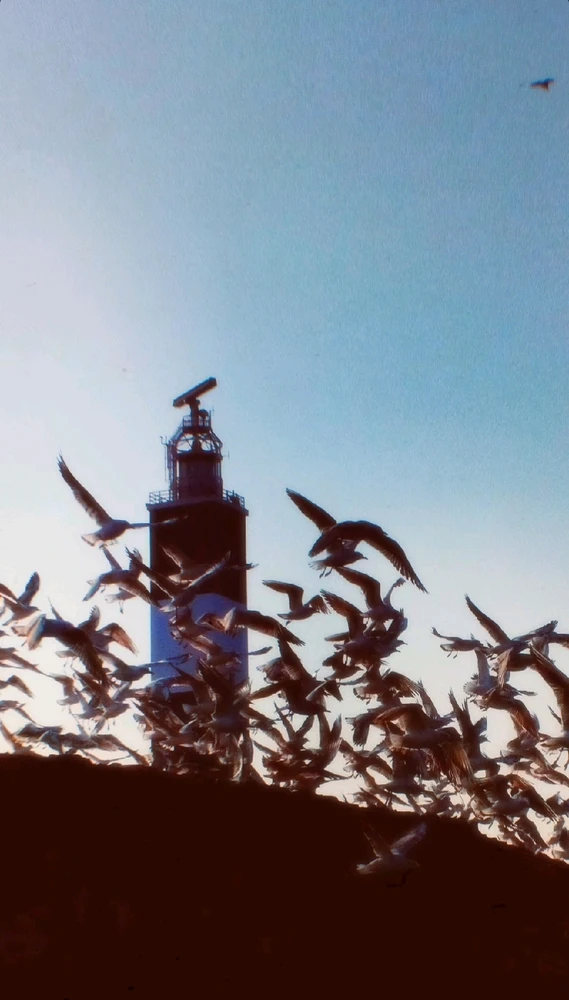 Image uploaded by ꓤꓯGꓧꓯꓥ