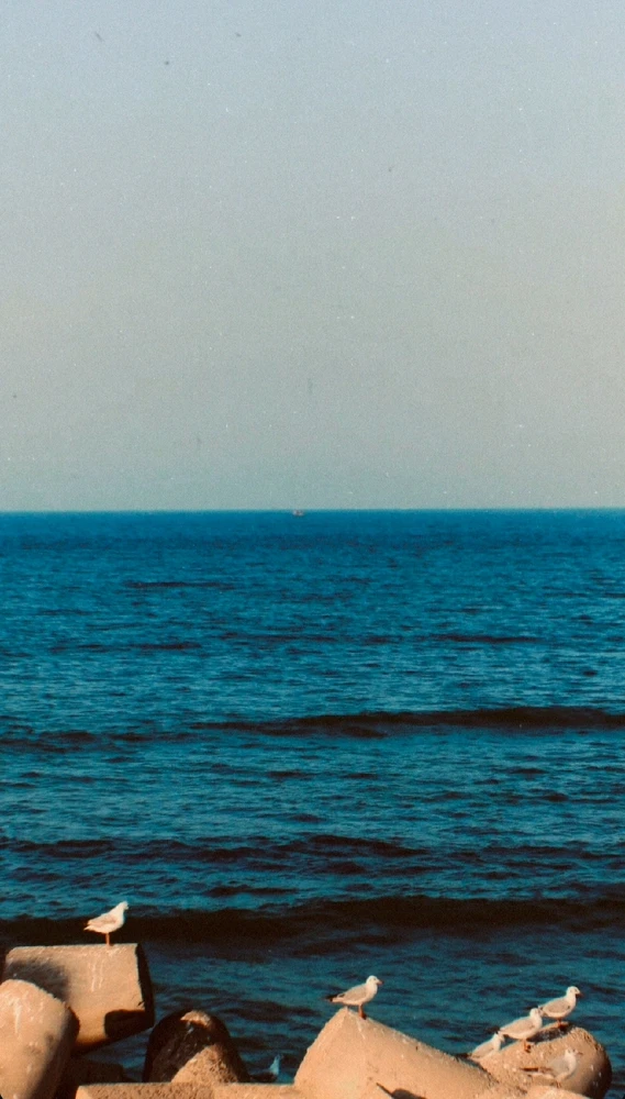 Image uploaded by ꓤꓯGꓧꓯꓥ