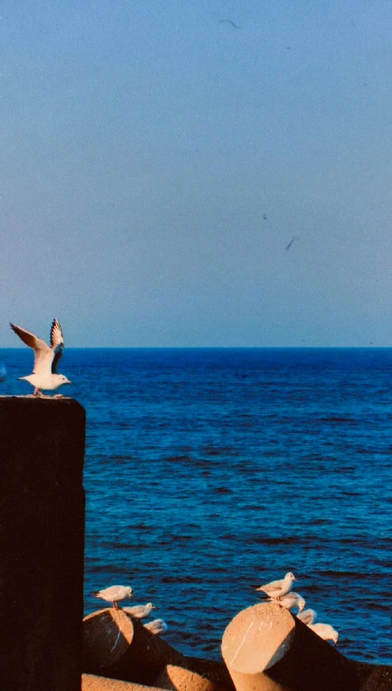 Image uploaded by ꓤꓯGꓧꓯꓥ