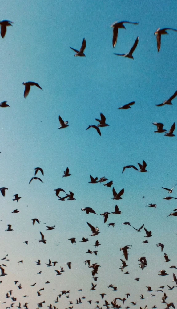 Image uploaded by ꓤꓯGꓧꓯꓥ