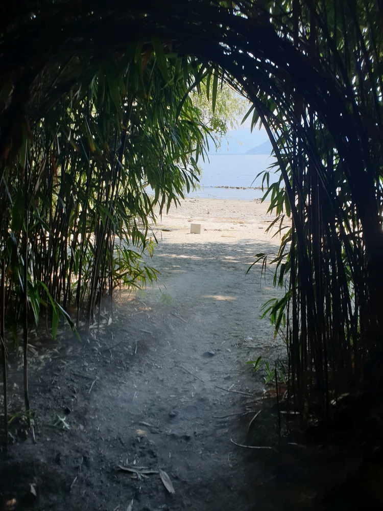 GIF caricata da Alessandro