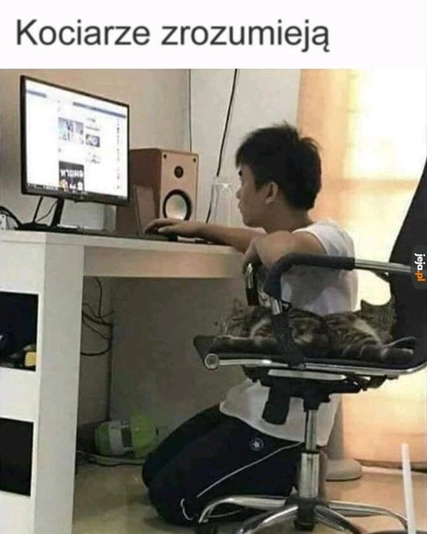 GIF dodany przez Kacper