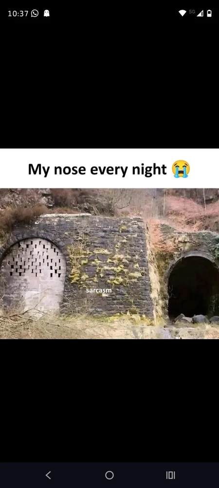 Image uploaded by Gaia