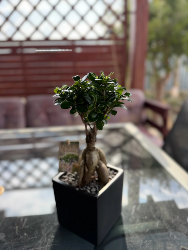 Fotku nahral/-a Róbert