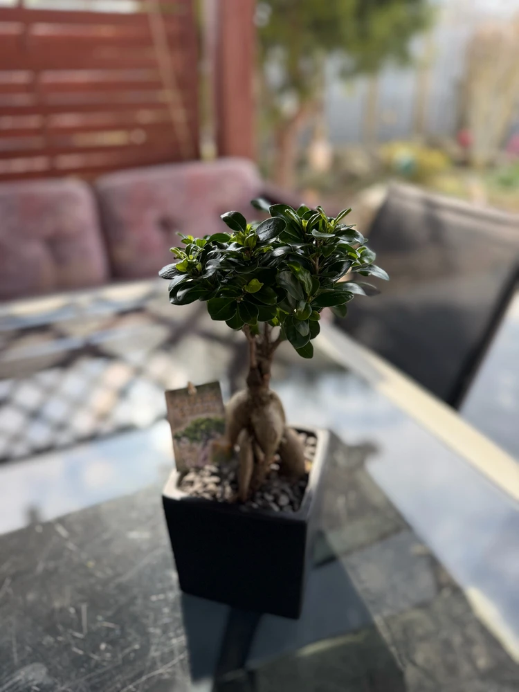 Fotku nahral/-a Róbert