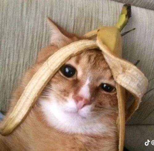 GIF subido por Martín