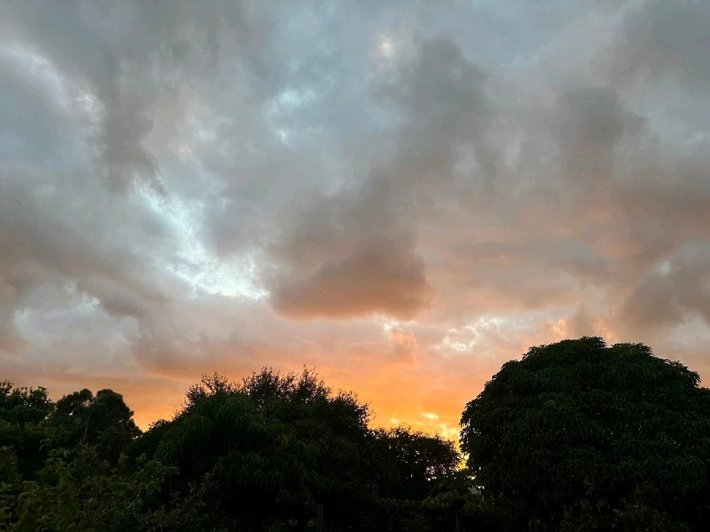 Image uploaded by Joey