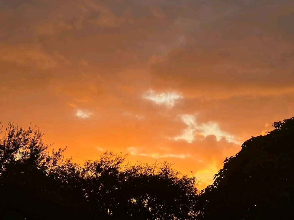 Image uploaded by Joey