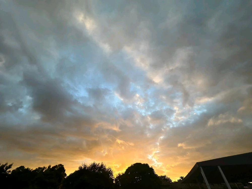 Image uploaded by Joey