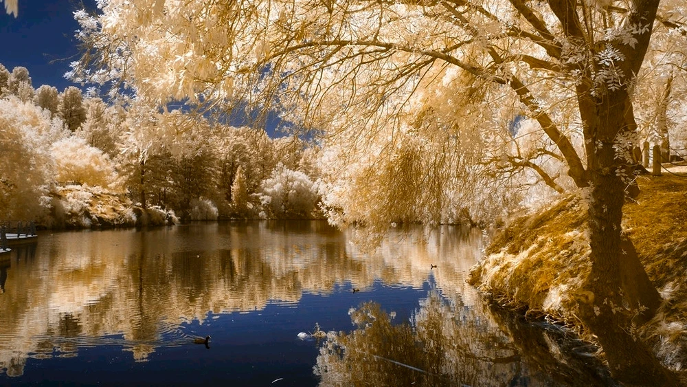 GIF uploaded by Serge Aus