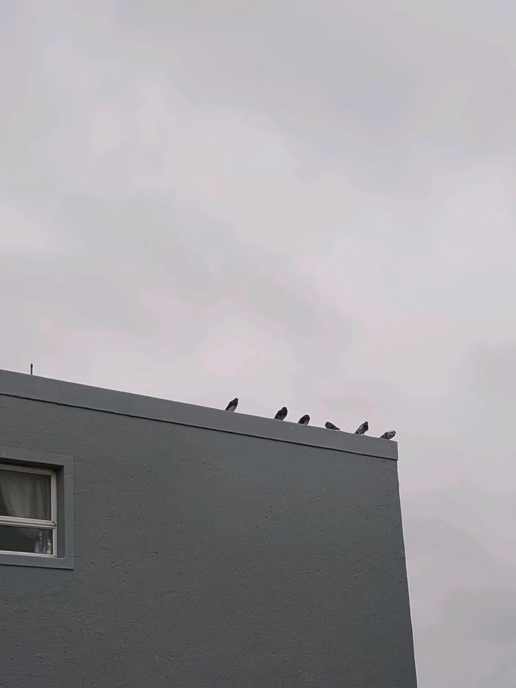 GIF uploaded by Suné