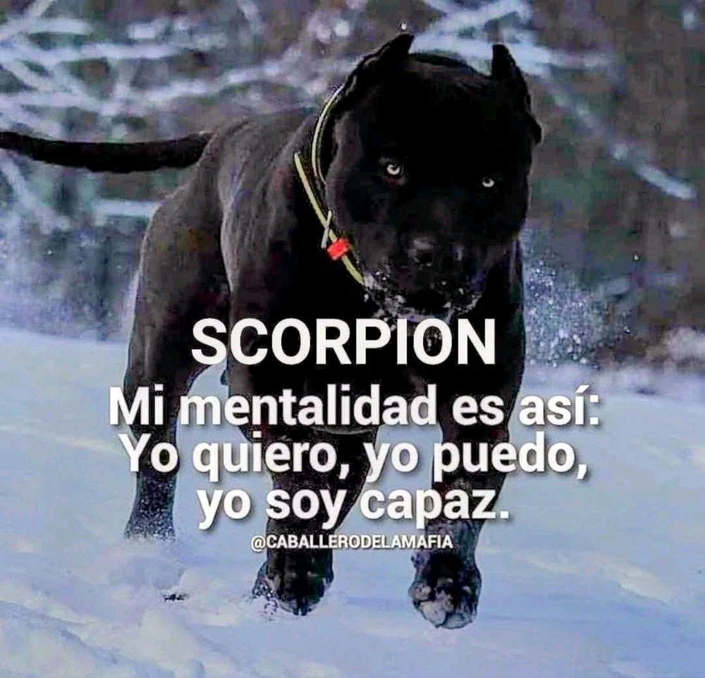 GIF subido por Miranda