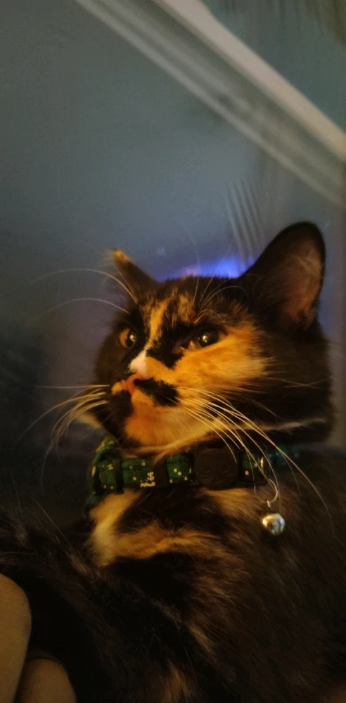 GIF uploaded by Christian