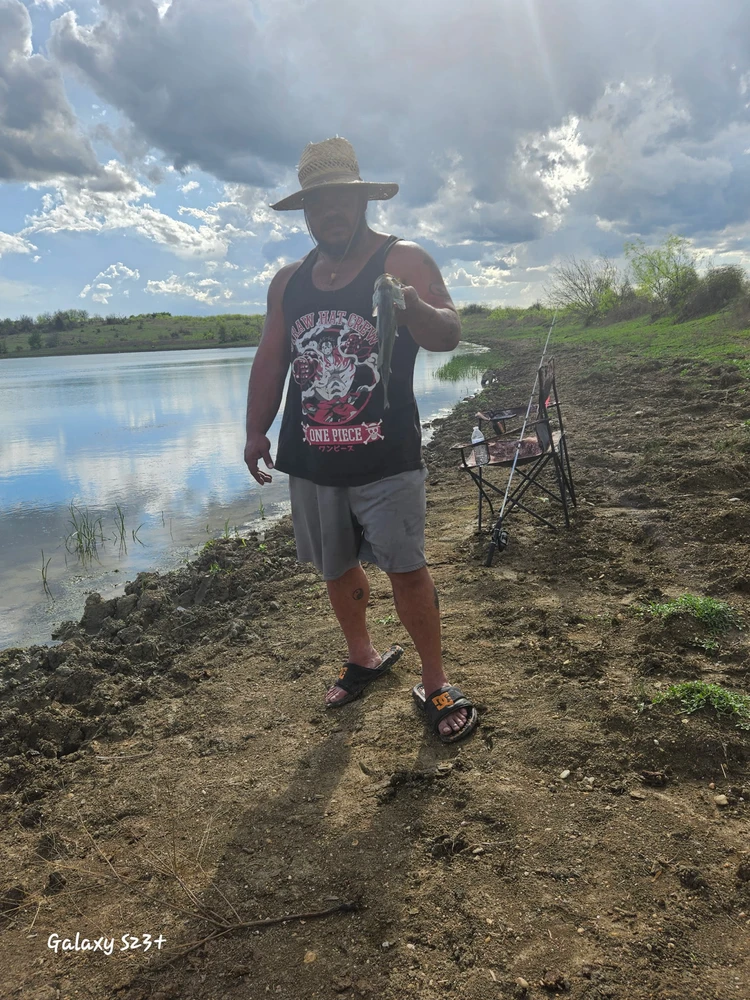 Image uploaded by Holly