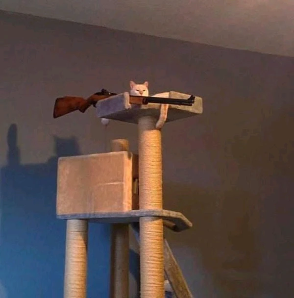 GIF dodany przez Tomek