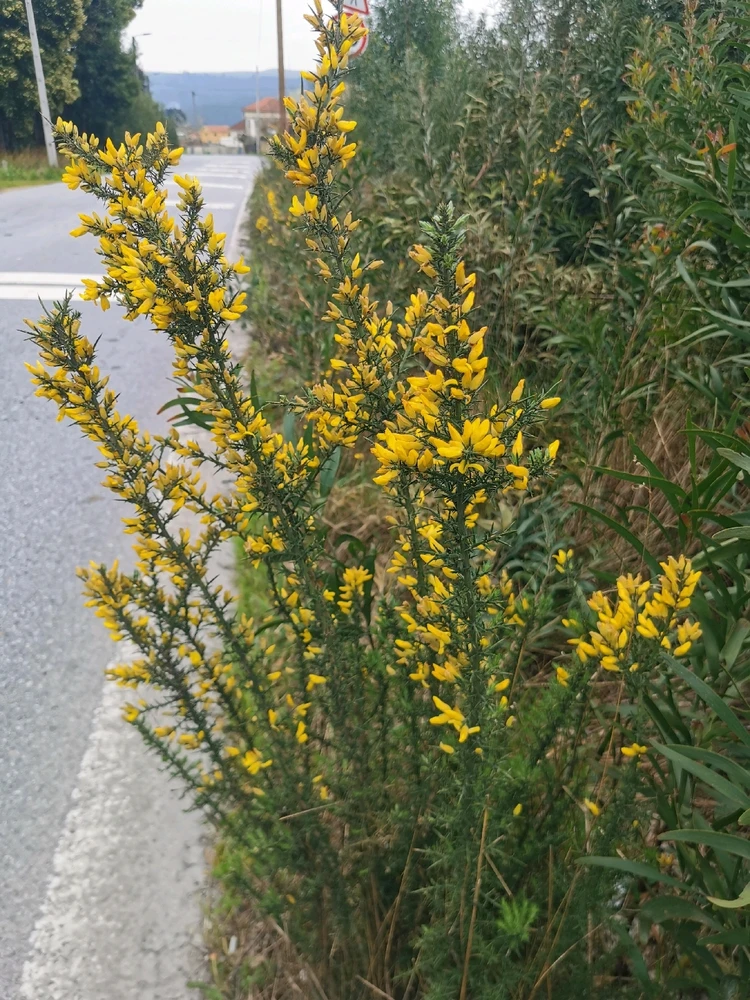 GIF uploaded by Sergio