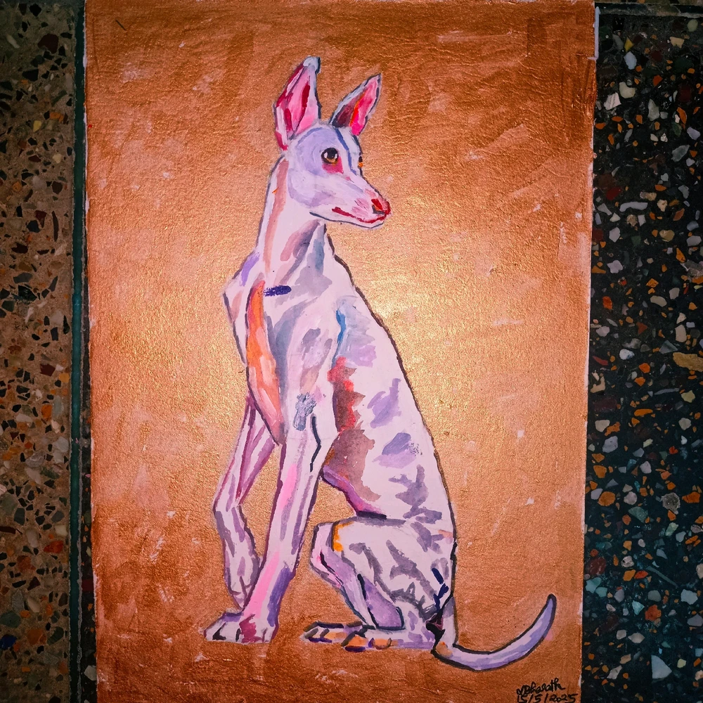 GIF uploaded by Bharath