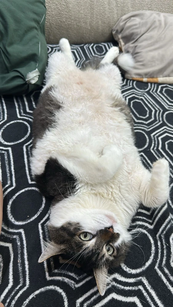 Imagem enviada por Gabriela