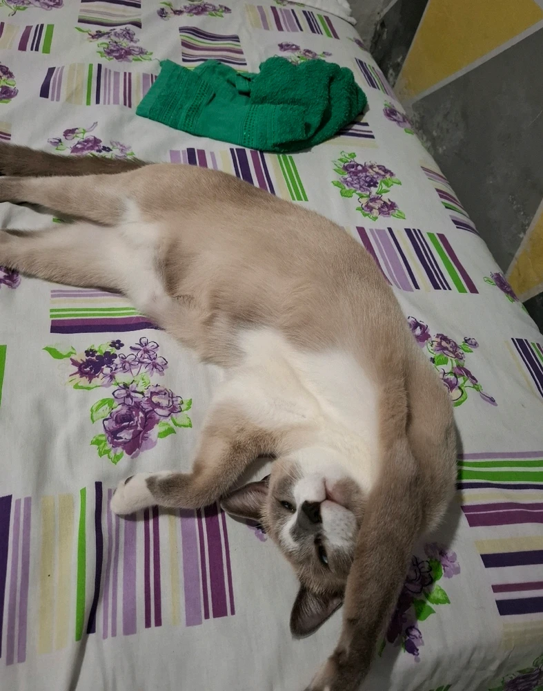 GIF enviado por Kevin