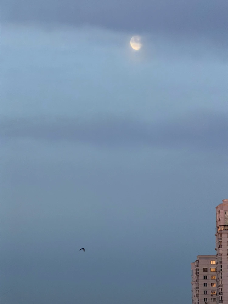 Гіфку завантажив Dmytro