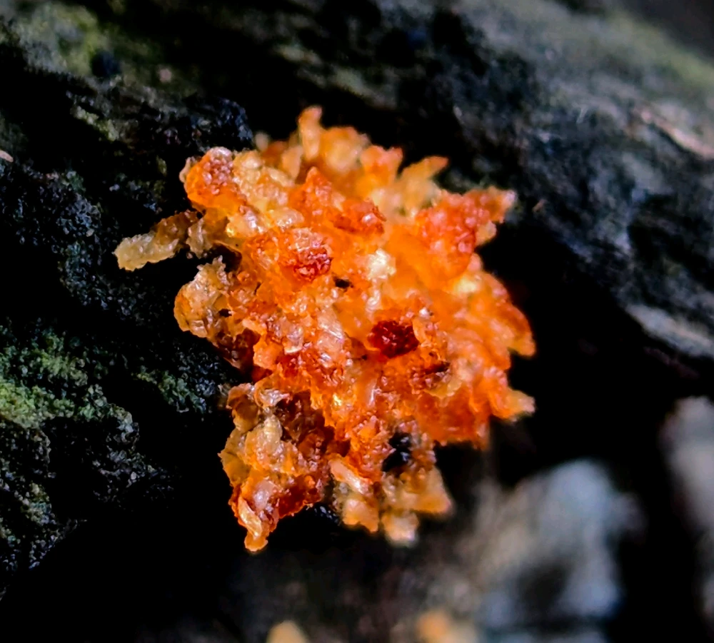 GIF uploaded by Chris