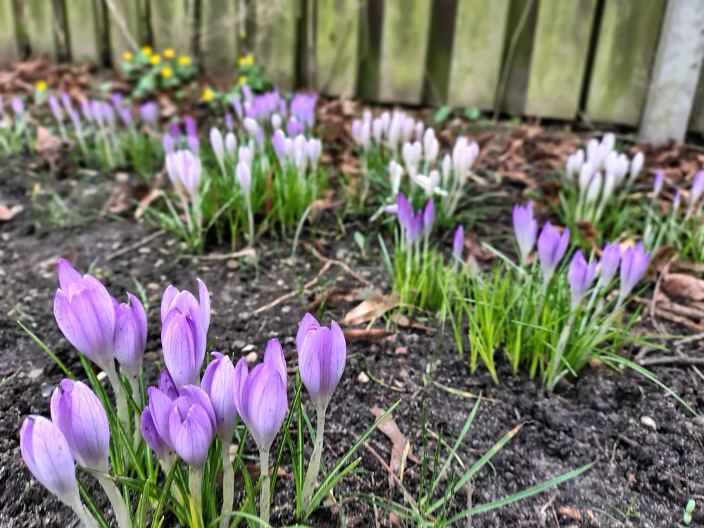 Billede uploadet af Kenneth