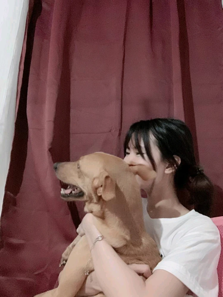 Image uploaded by Ironheart