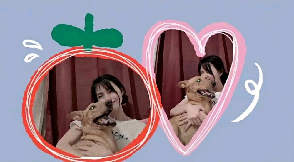 Image uploaded by Ironheart