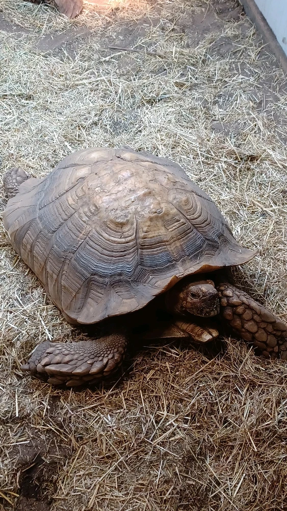 GIF uploaded by Alfie