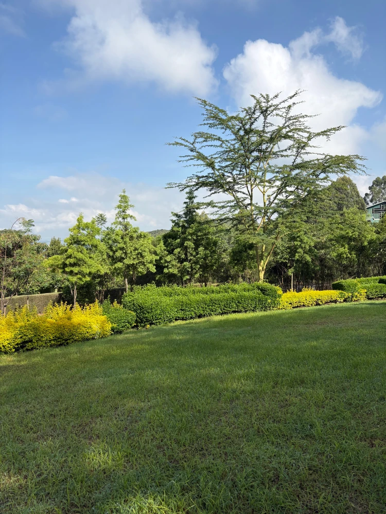 GIF uploaded by Michelle