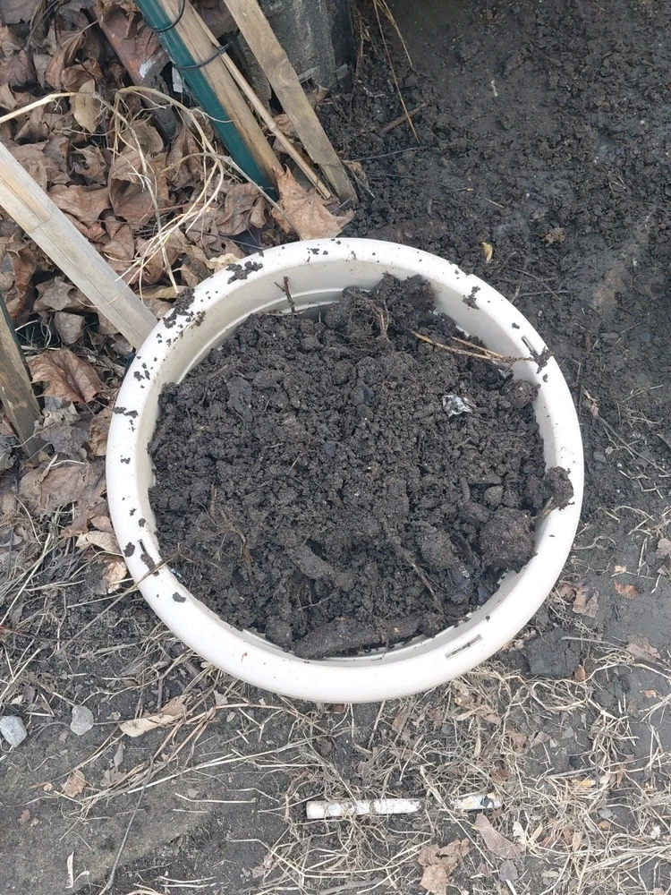 GIF uploaded by David