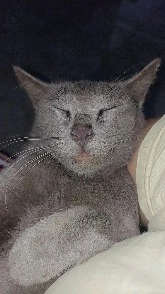 GIF uploaded by Veronika