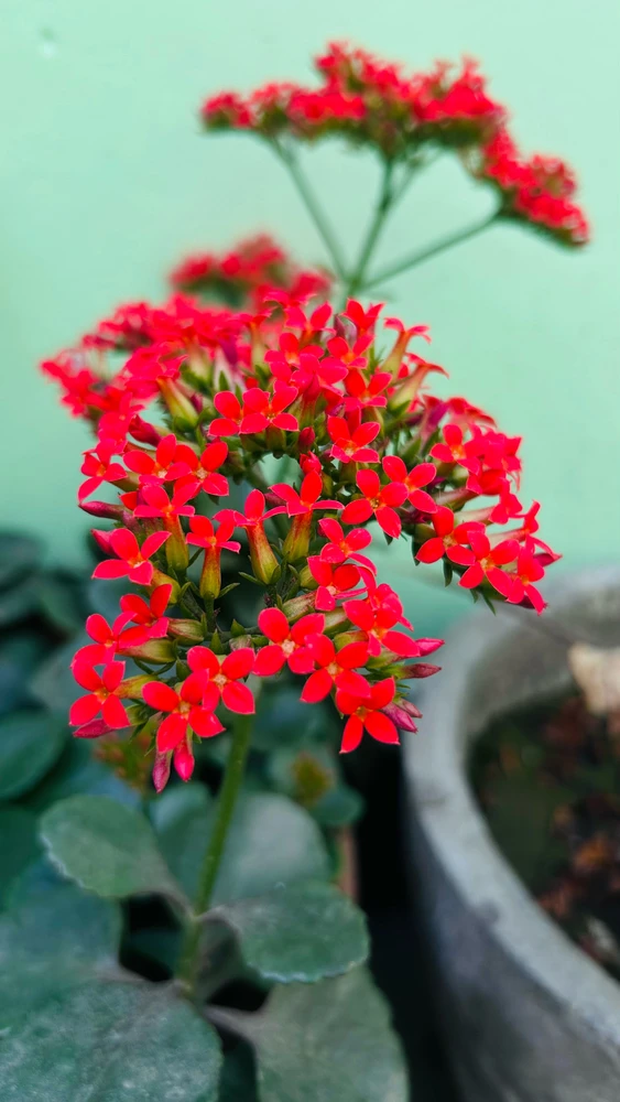 GIF uploaded by Kartik Tyagi