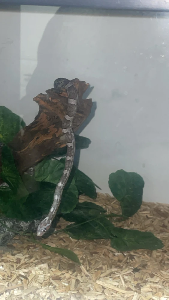 GIF uploaded by Saihil