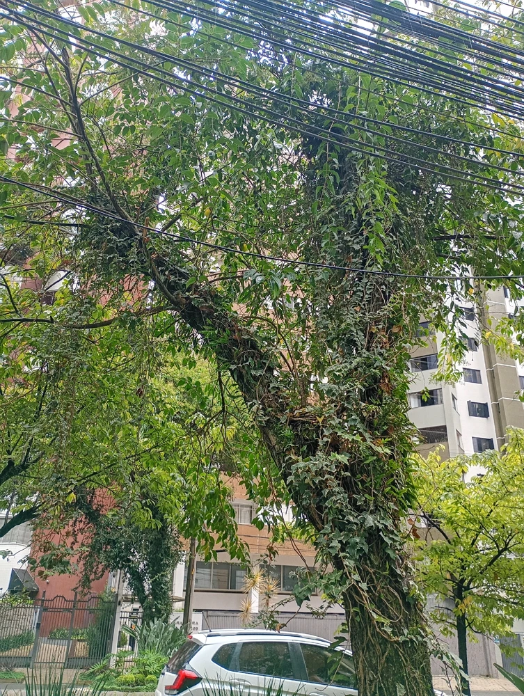 Image uploaded by Vickye